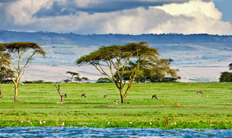 lake naivasha
