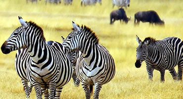 Kenya Destinations