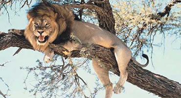Tanzania Destinations