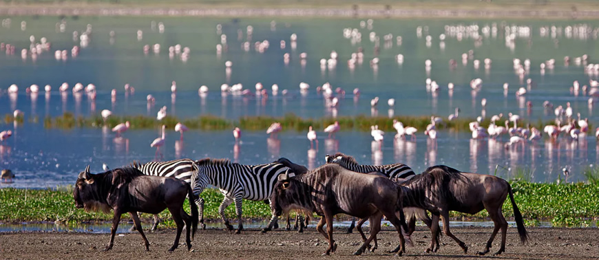 Ngorongoro National Park
